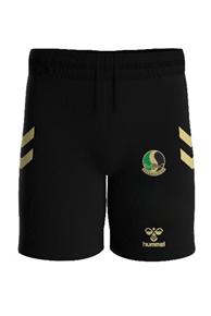 Sakaryaspor Çocuk Şort Parçalı