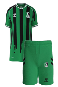 Sakaryaspor Çocuk Forma Takımı Çubuklu