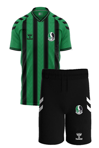 Sakaryaspor Forma Takımı kalın